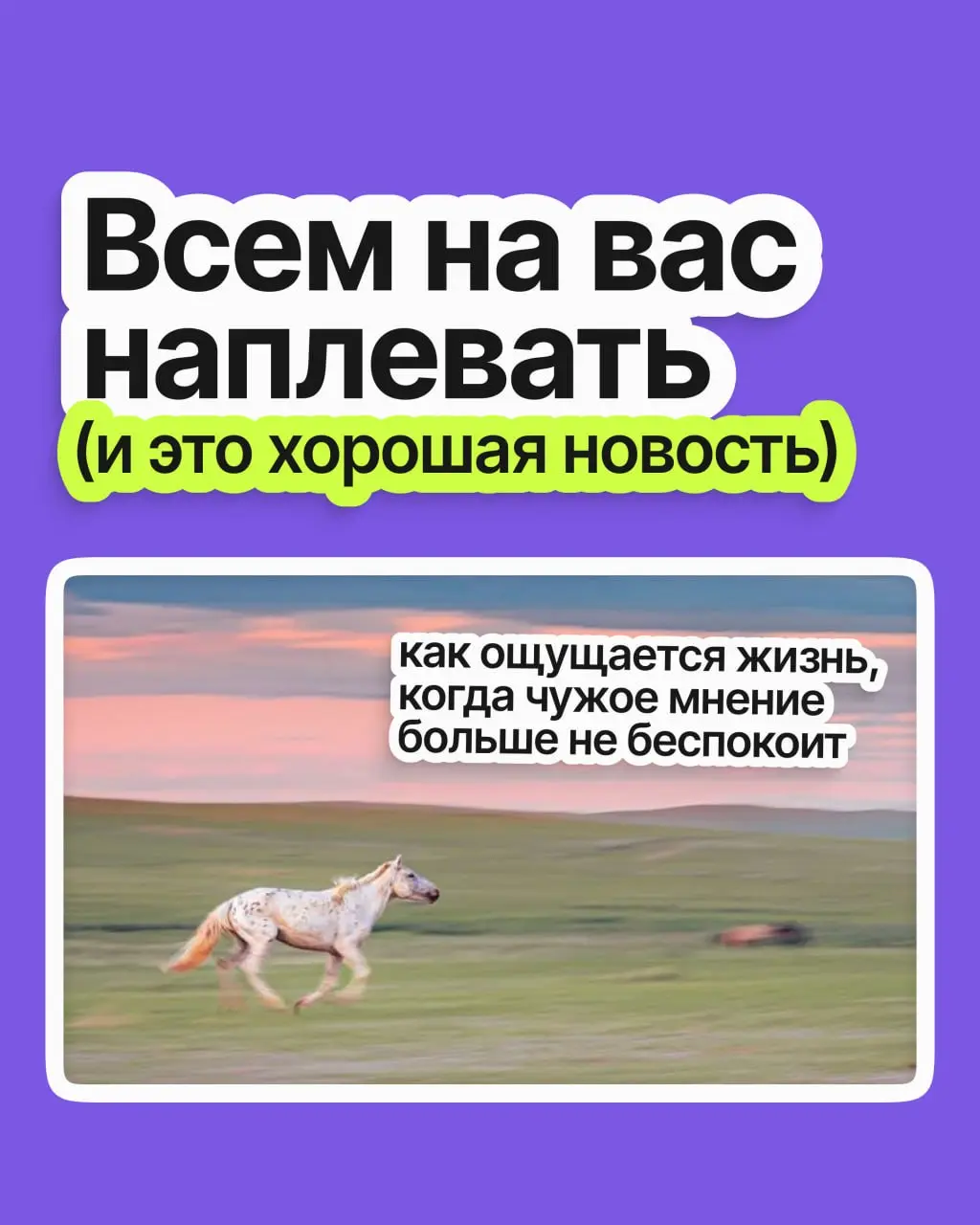 Сколько возможностей вы упустили из страха показаться глупым, нелепым и кринжовым? Сколько не высказали идей, на сколько вакансий не откликнулись, со сколькими людьми не завязали контакт?
Пришли вам с... | Сетка — социальная сеть от hh.ru