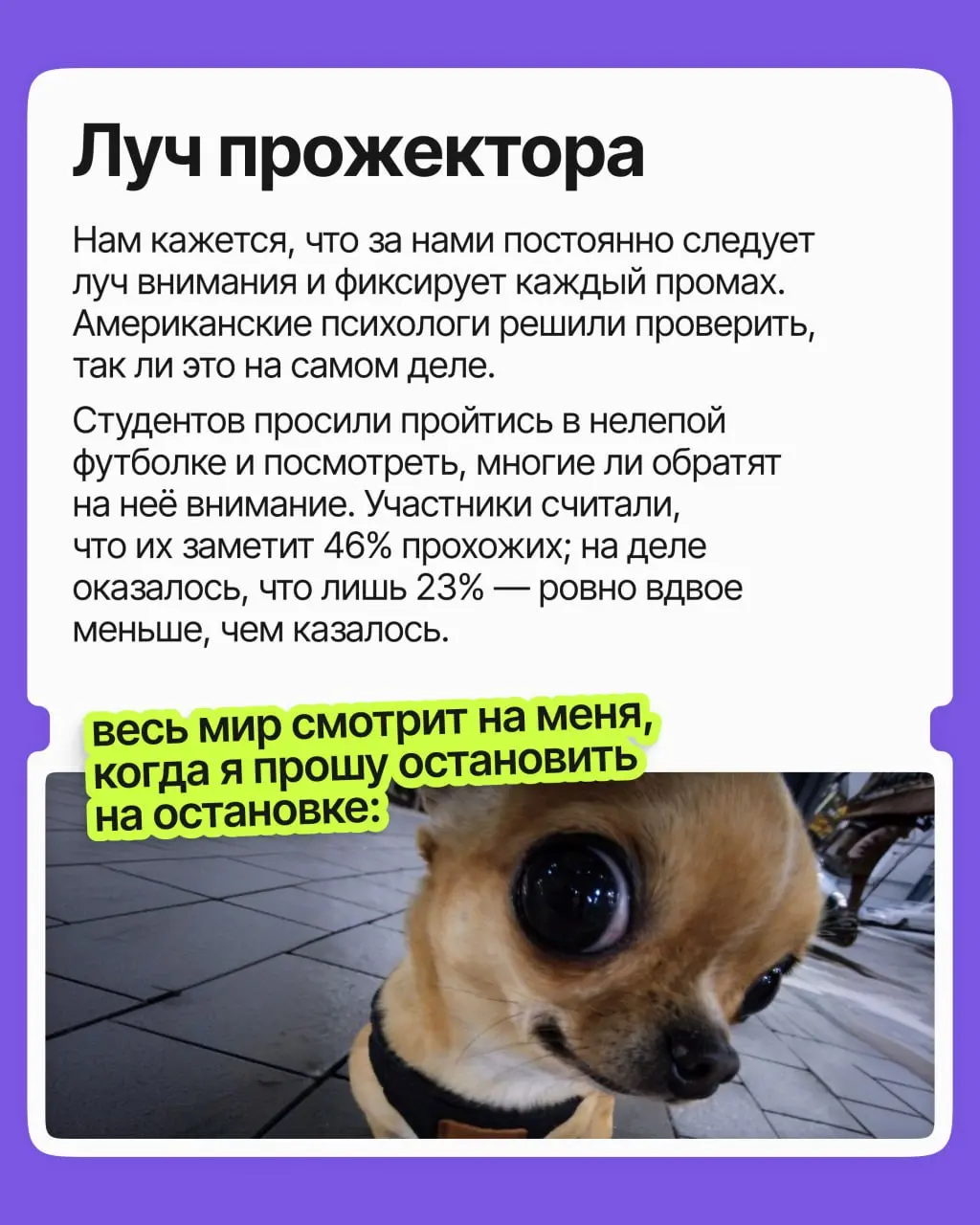 Сколько возможностей вы упустили из страха показаться глупым, нелепым и кринжовым? Сколько не высказали идей, на сколько вакансий не откликнулись, со сколькими людьми не завязали контакт?
Пришли вам с... | Сетка — социальная сеть от hh.ru