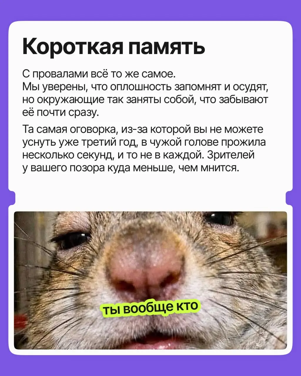 Сколько возможностей вы упустили из страха показаться глупым, нелепым и кринжовым? Сколько не высказали идей, на сколько вакансий не откликнулись, со сколькими людьми не завязали контакт?
Пришли вам с... | Сетка — социальная сеть от hh.ru