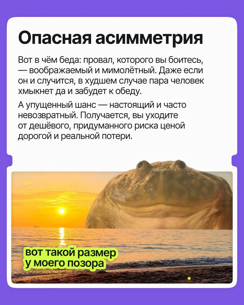 Сколько возможностей вы упустили из страха показаться глупым, нелепым и кринжовым? Сколько не высказали идей, на сколько вакансий не откликнулись, со сколькими людьми не завязали контакт?
Пришли вам с... | Сетка — социальная сеть от hh.ru