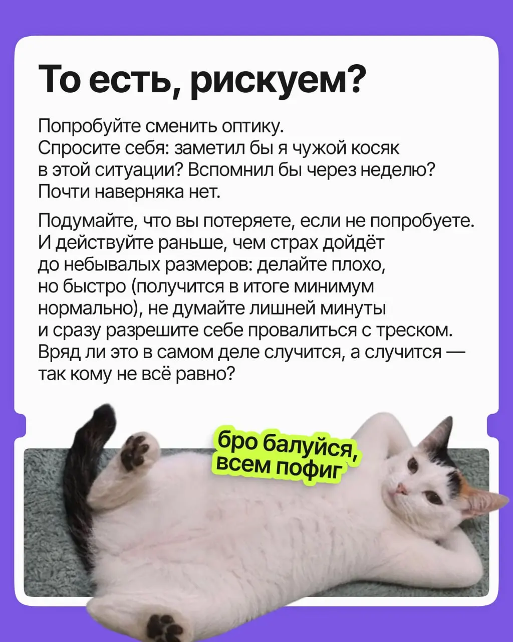Сколько возможностей вы упустили из страха показаться глупым, нелепым и кринжовым? Сколько не высказали идей, на сколько вакансий не откликнулись, со сколькими людьми не завязали контакт?
Пришли вам с... | Сетка — социальная сеть от hh.ru