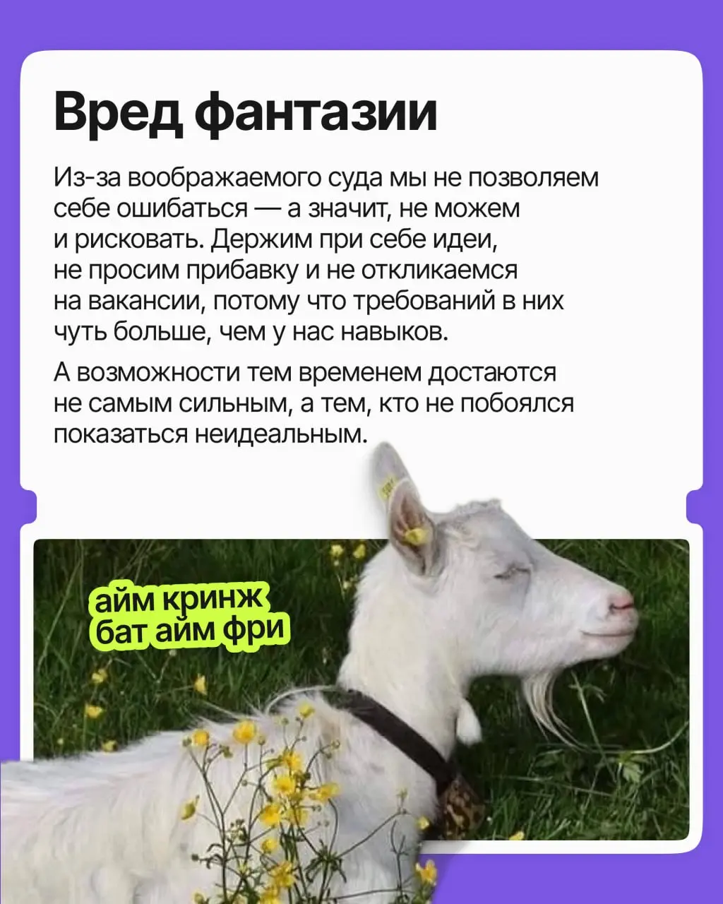 Сколько возможностей вы упустили из страха показаться глупым, нелепым и кринжовым? Сколько не высказали идей, на сколько вакансий не откликнулись, со сколькими людьми не завязали контакт?
Пришли вам с... | Сетка — социальная сеть от hh.ru