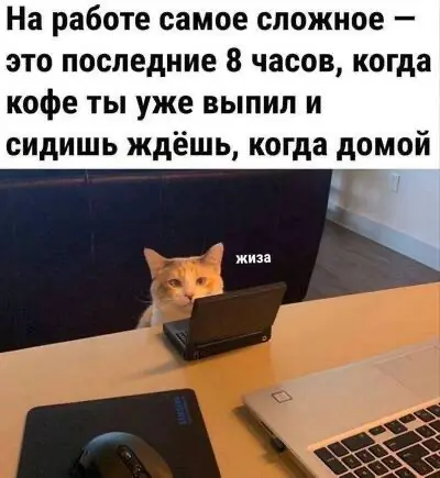 Быстрее бы домой | Сетка — социальная сеть от hh.ru