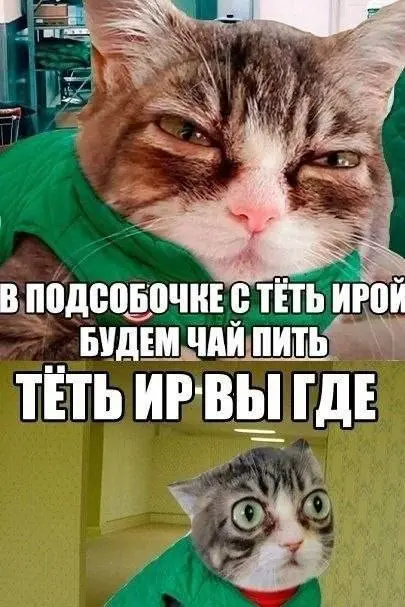 перерыв на мемы | Сетка — социальная сеть от hh.ru