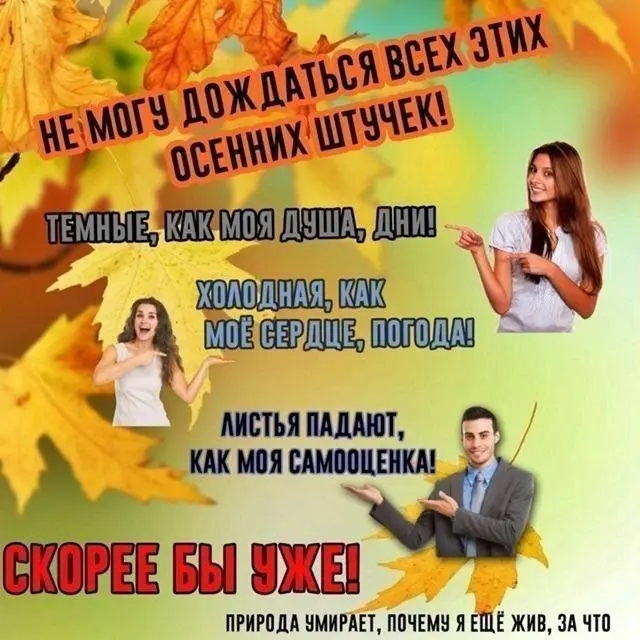 перерыв на мемы | Сетка — социальная сеть от hh.ru