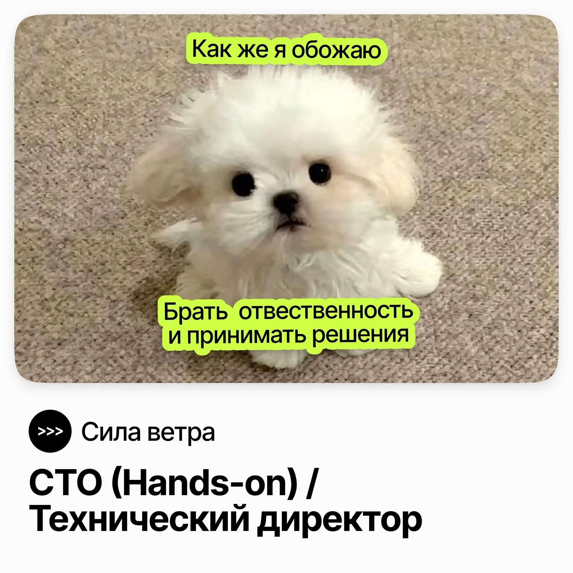🖥️ CTO (Hands-on) / Технический директор / Сила ветра
Сила ветра — крупнейшая школа парусного спорта в России, развивает собственную цифровую платформу: продажи, бронирования, финансы, клиентские серв... | Сетка — социальная сеть от hh.ru