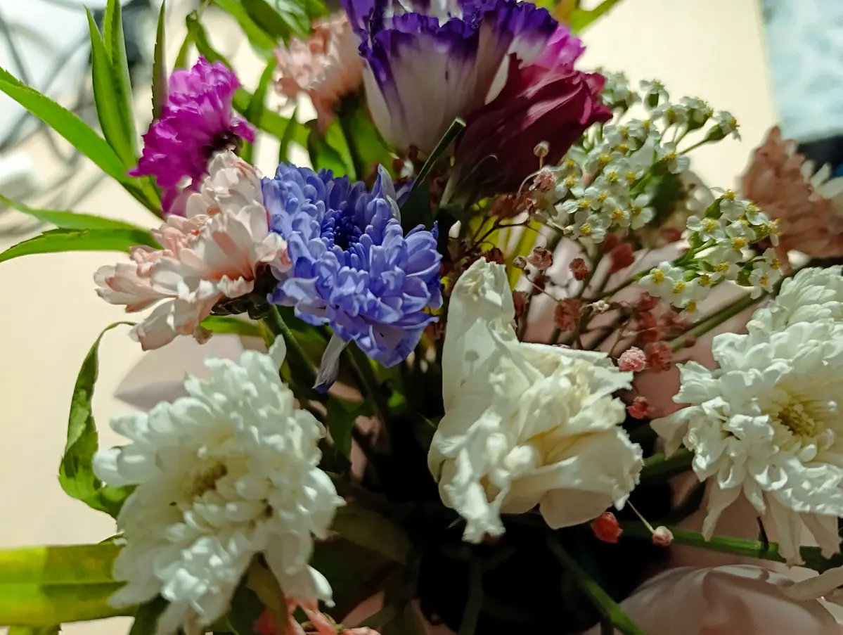 Из сухих цветов букет 💐 | Сетка — социальная сеть от hh.ru