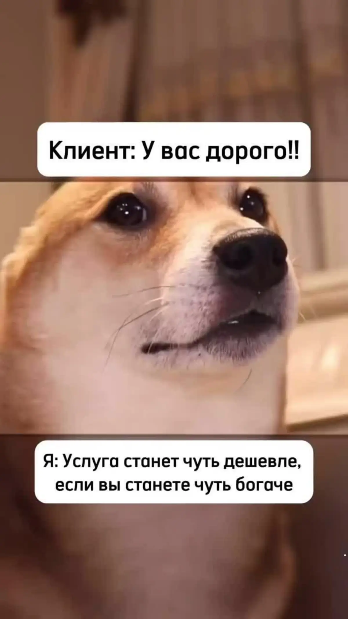 Просто напомню один экономический закон, который всегда работает. 😉 | Сетка — социальная сеть от hh.ru