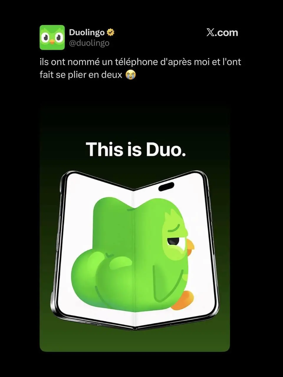 Duolingo не упустил свой шанс потроллить Apple после презентации первого складного iPhone.
Ну и это не удивительно с названием iPhone Duo | Сетка — социальная сеть от hh.ru