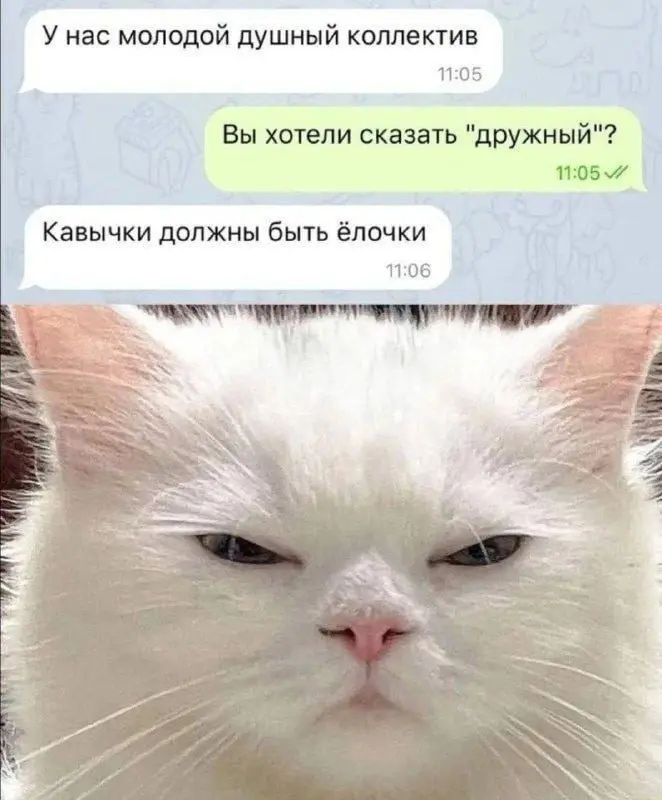 Сетка — социальная сеть от hh.ru