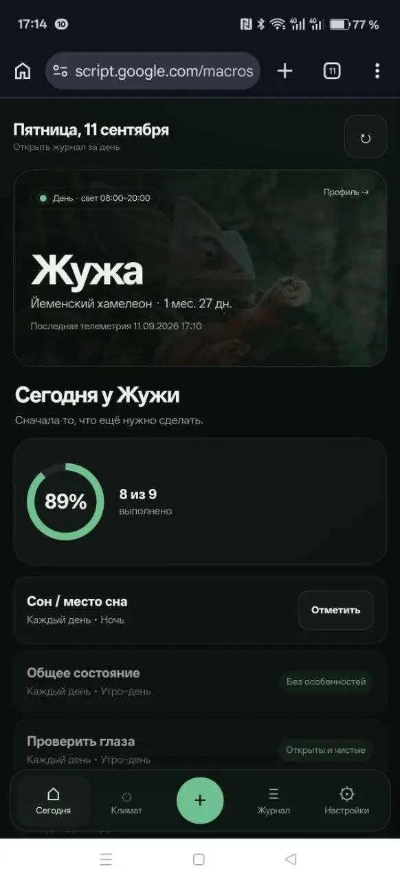 254. Докатился до вайбкодинга
Недавно у нас появился Жужа. Малышковый йеменский хамелеон. Ему сейчас чуть меньше двух месяцев | Сетка — социальная сеть от hh.ru