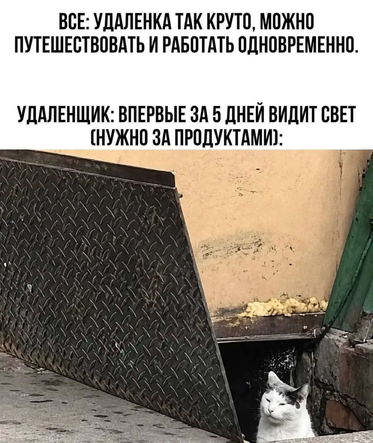 Прощай, удаленка? | Сетка — социальная сеть от hh.ru