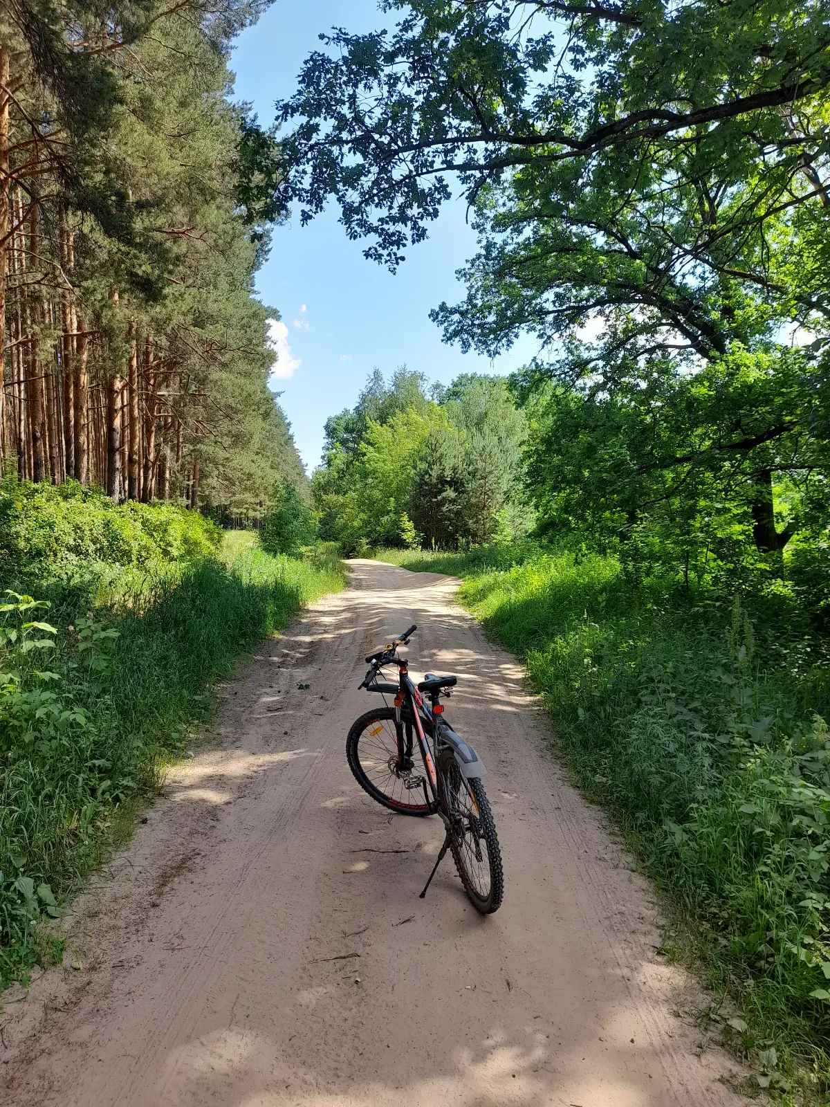 АСФАЛЬТ, ВЕТЕР, СВОБОДА: ИСПОВЕДЬ ВЕЛОФАНАТА 🚴‍♂️ | Сетка — социальная сеть от hh.ru