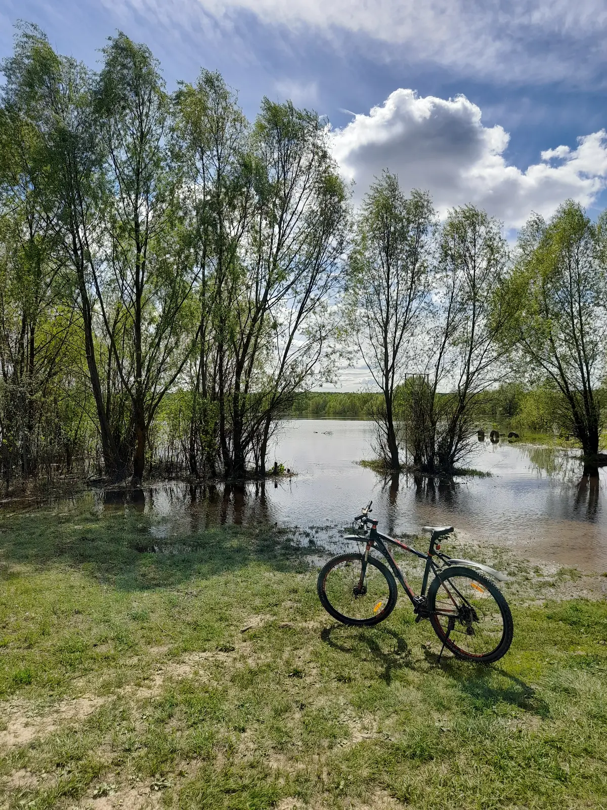АСФАЛЬТ, ВЕТЕР, СВОБОДА: ИСПОВЕДЬ ВЕЛОФАНАТА 🚴‍♂️ | Сетка — социальная сеть от hh.ru