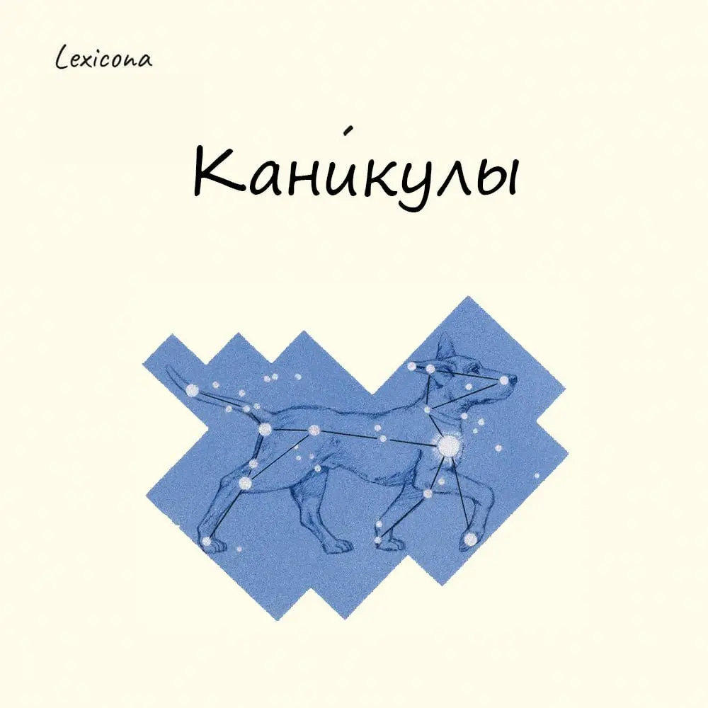 Каникулы
В Древнем Риме был период, когда прекращались занятия в школах — когда Солнце ближе всего располагалось к одной из самых ярких звезд на небе – Сириусу, в созвездии Canicula (в переводе — «мал... | Сетка — социальная сеть от hh.ru