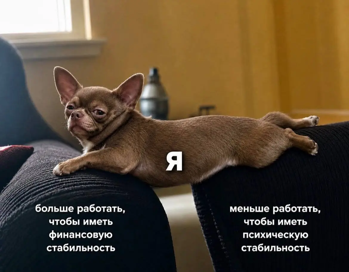Субботние #мемчики | Сетка — социальная сеть от hh.ru
