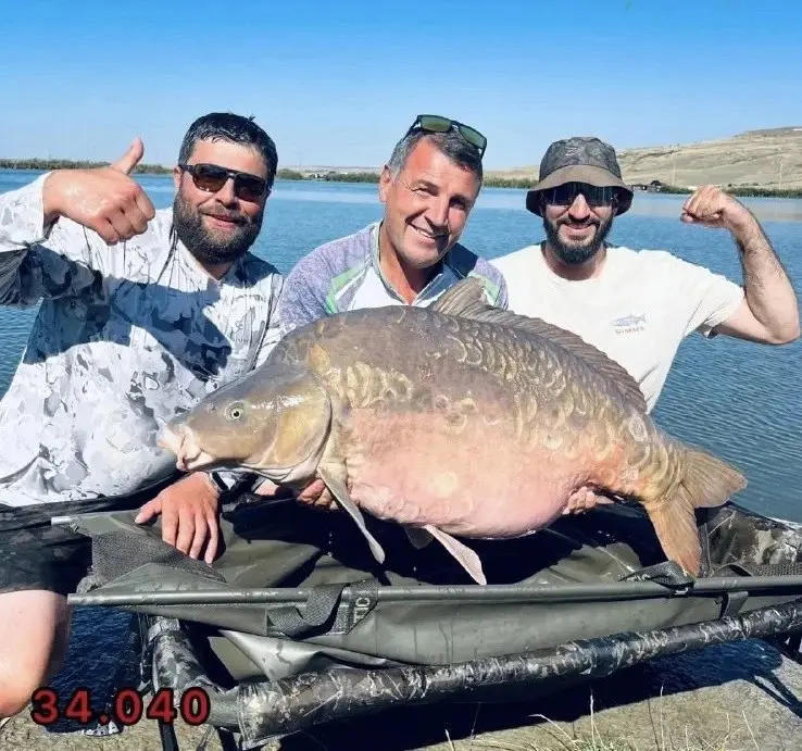 🐟 Ставрополье установило рекорд России в карпфишинге
11 сентября на водоёме «Разлив» в селе Просянка рыбак выловил карпа весом 34,04 кг. Трофей официально подтверждён и признан рекордным для страны. | Сетка — социальная сеть от hh.ru
