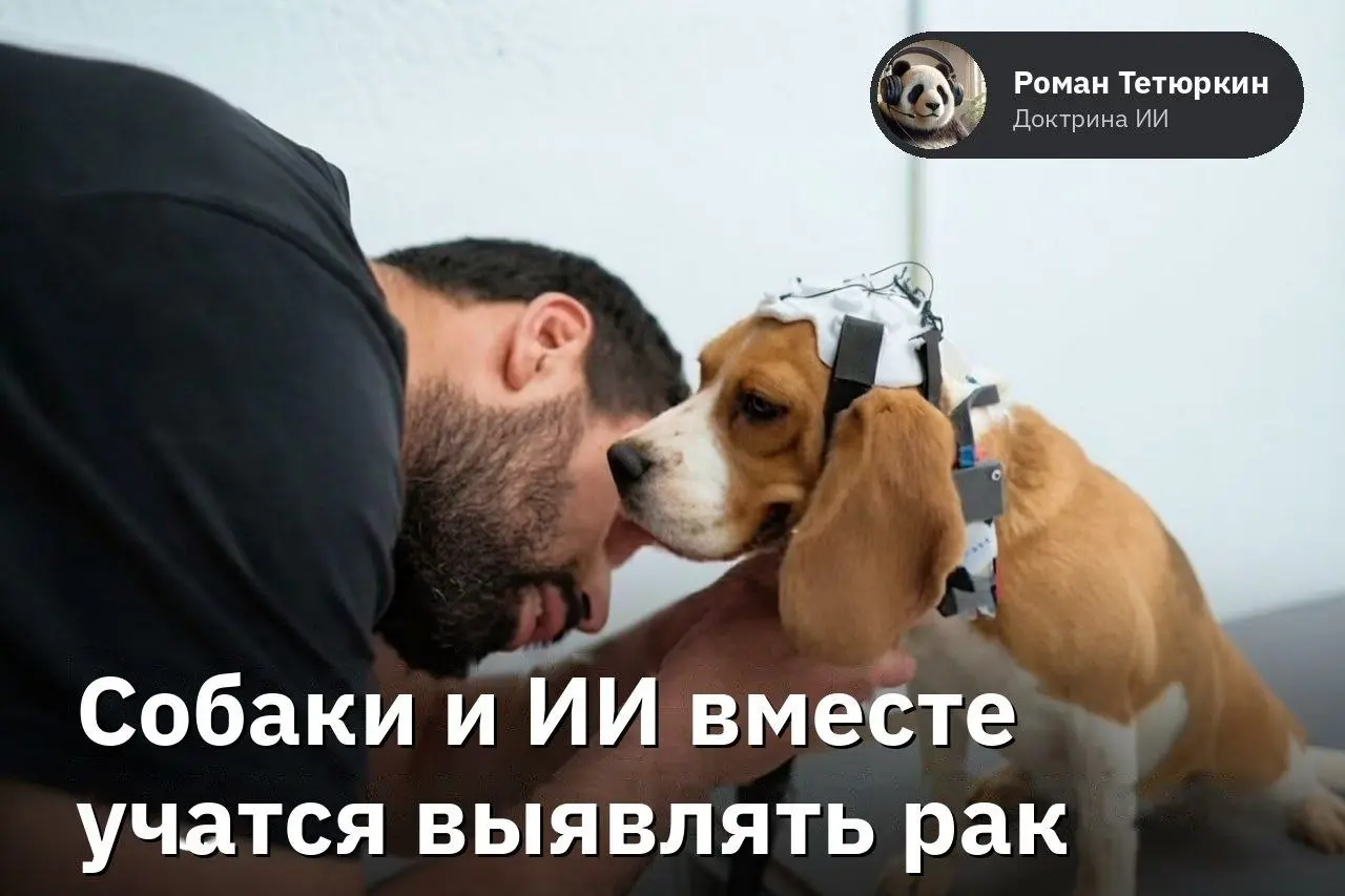 В Индии собаки и ИИ вместе учатся выявлять рак.
Стартап Dognosis обучает собак обнаруживать рак по человеческому дыханию | Сетка — социальная сеть от hh.ru
