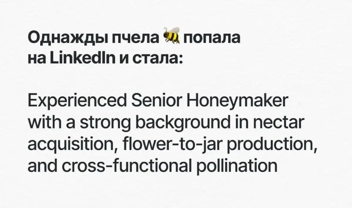Как заполнять профиль в LinkedIn 🤭 | Сетка — социальная сеть от hh.ru