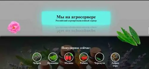 Денис Носач