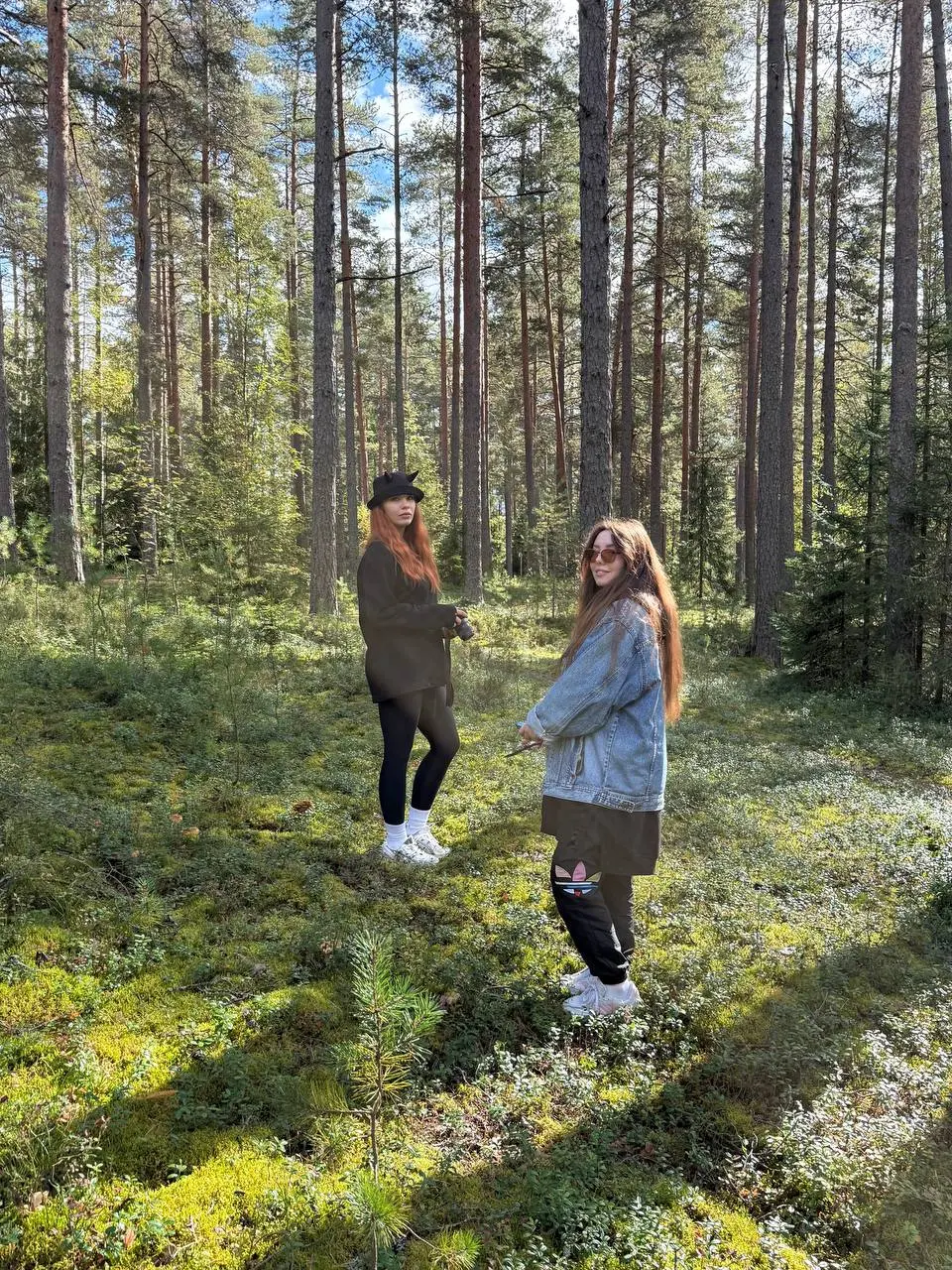 Собирали лисички, но фотографировала я паганки | Сетка — социальная сеть от hh.ru