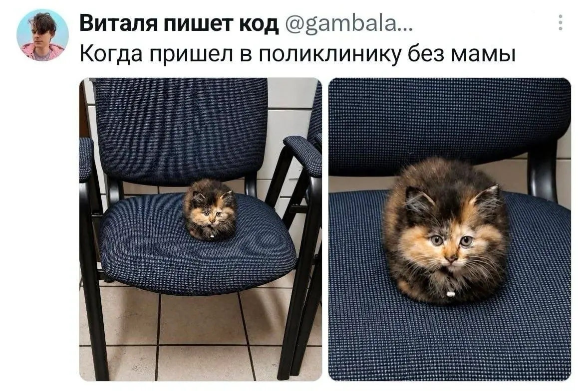 Без мамы | Сетка — социальная сеть от hh.ru