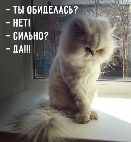 Знаете, что самое странное в обиде? Она абсолютно бесполезна — и при этом абсолютно addictive. Мы носим её годами, как любимый свитер, который давно мал, но выбросить жалко | Сетка — социальная сеть от hh.ru
