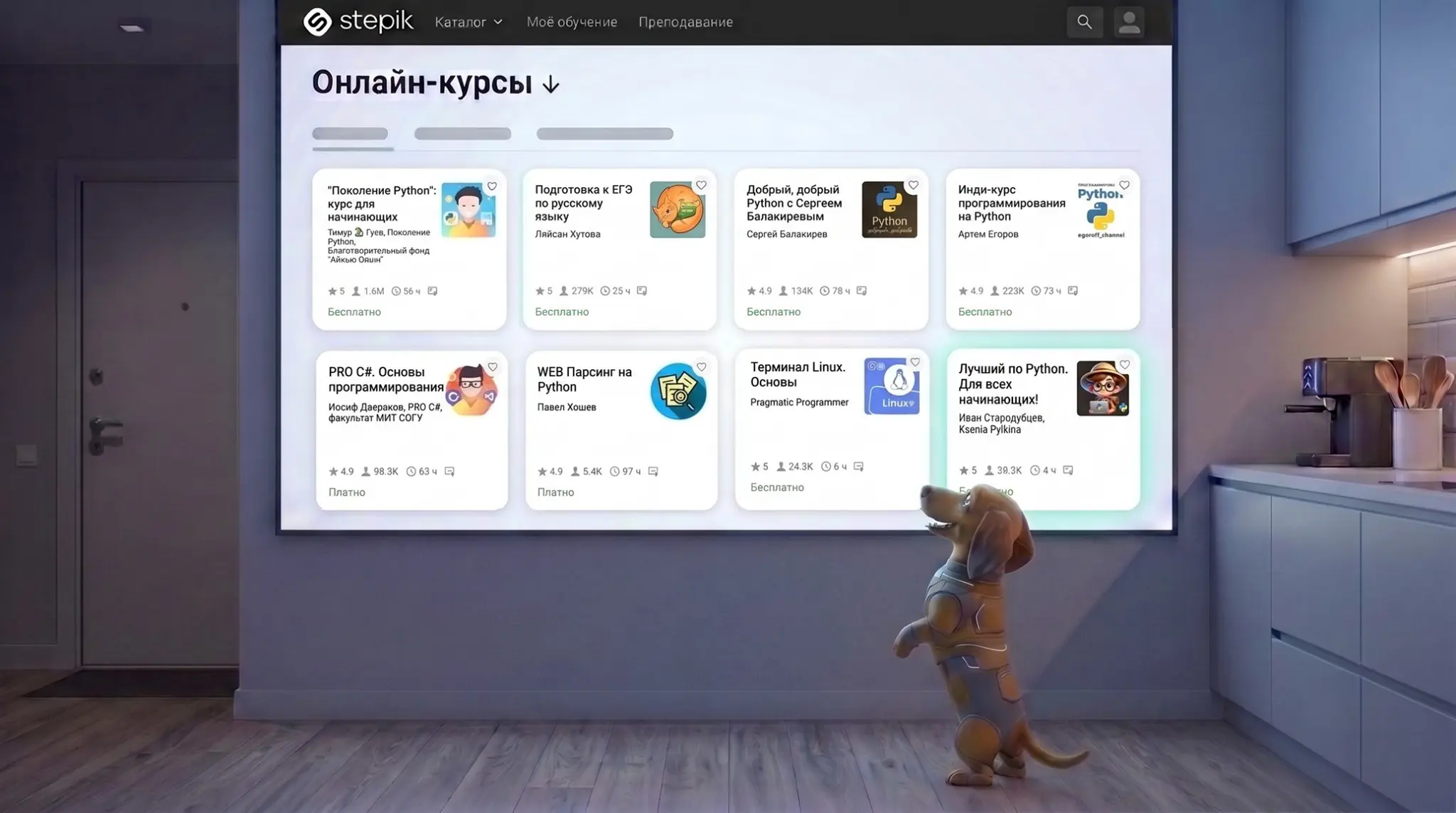 Подарила Stepik мультик на день рождения. | Сетка — социальная сеть от hh.ru