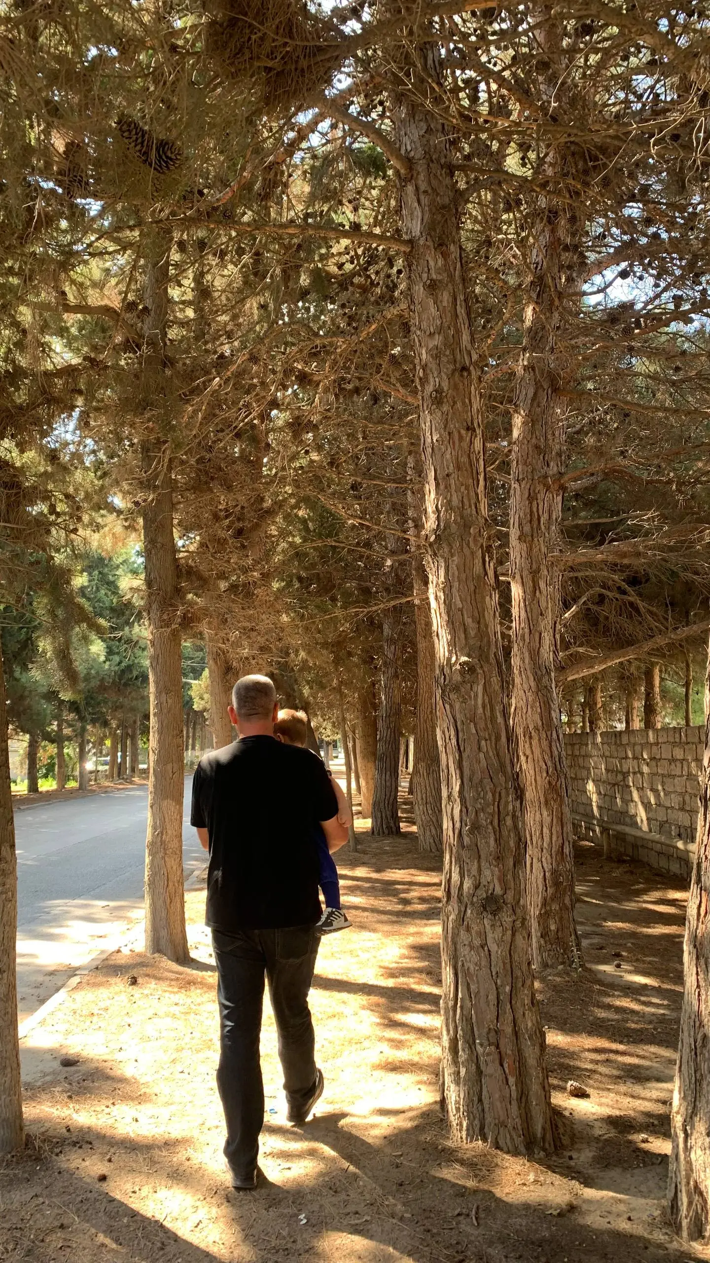 ДОСТУП начинается с одного маршрута🌙
Сегодня утром мы пошли в Aida Park.
По дороге к нему я видела высокие хвойные деревья и огромные шишки на земле.
А дома снова посмотрела на кампсис | Сетка — социальная сеть от hh.ru