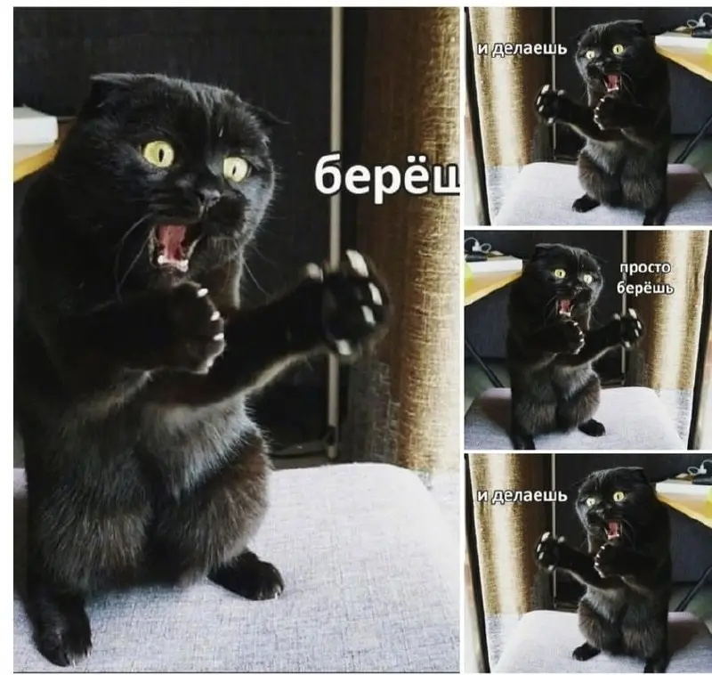 Простая / сложная инструкция 😂
БЛОГ В ТГ / БЛОГ В MAX
#Юмор      #Коты
В этом посте были ссылки, но мы их удалили по правилам Сетки | Сетка — социальная сеть от hh.ru