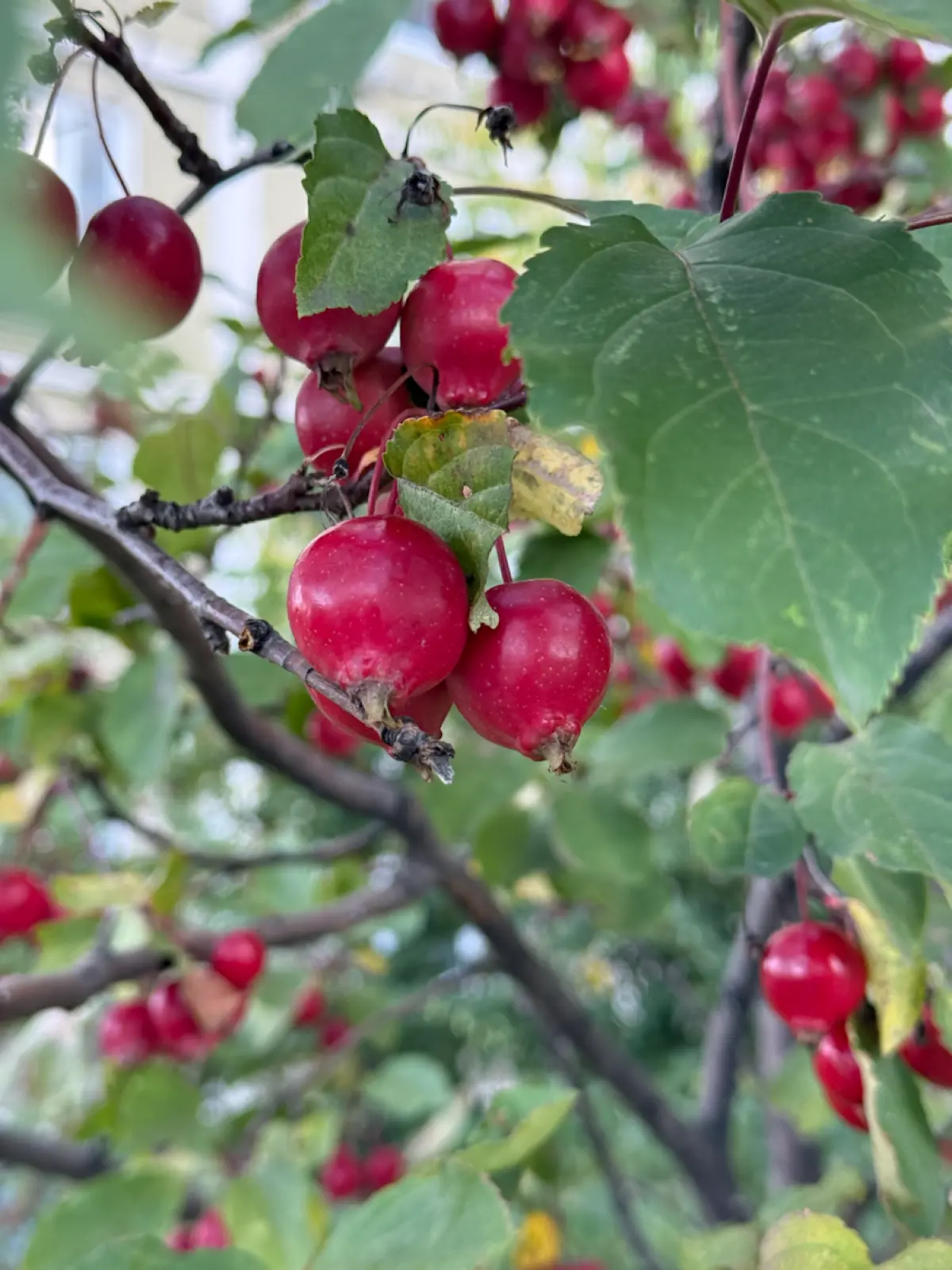 Краски осени 🍂 | Сетка — социальная сеть от hh.ru
