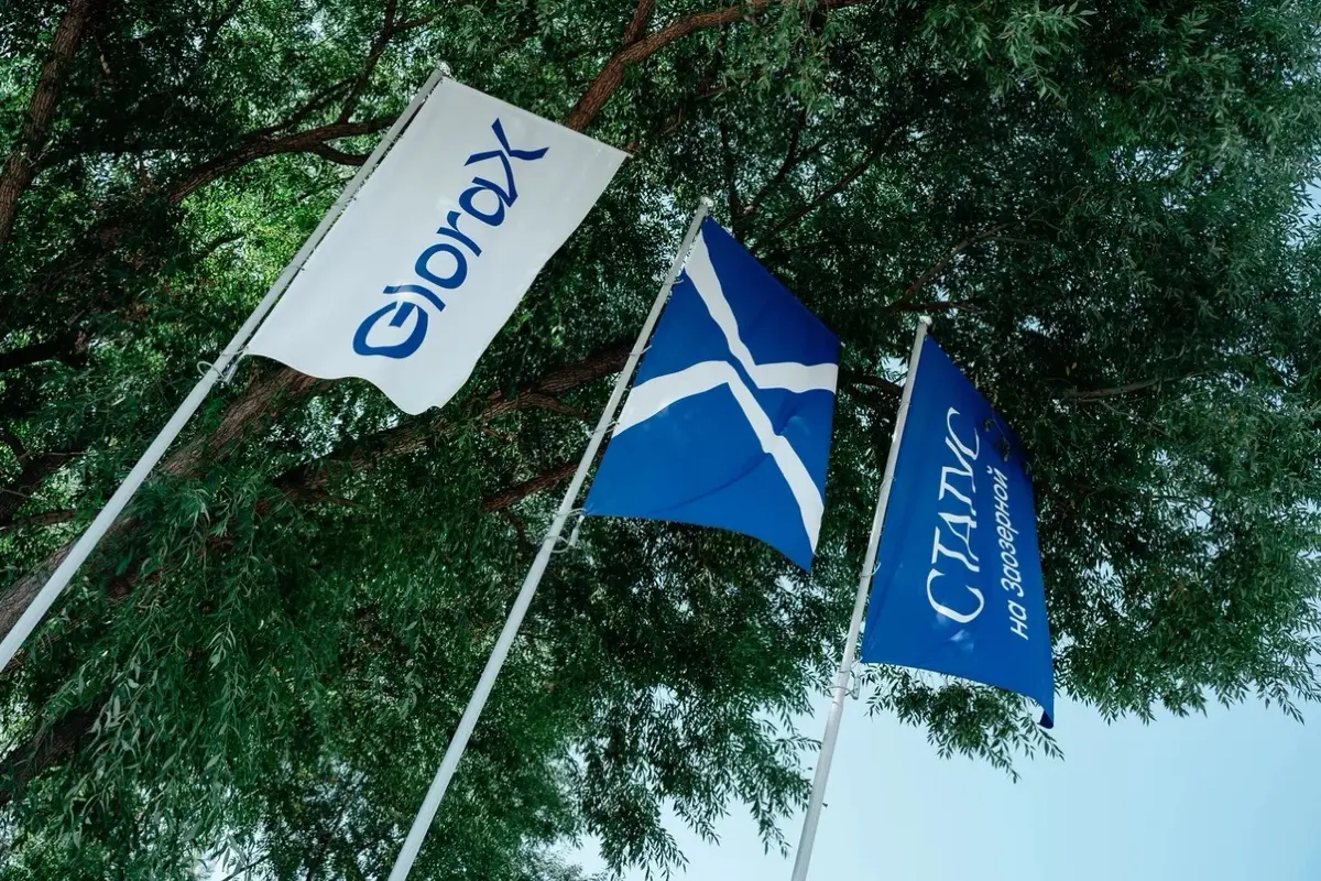 Первый куб бетона на первом проекте GloraX в Сибири 💙 | Сетка — социальная сеть от hh.ru