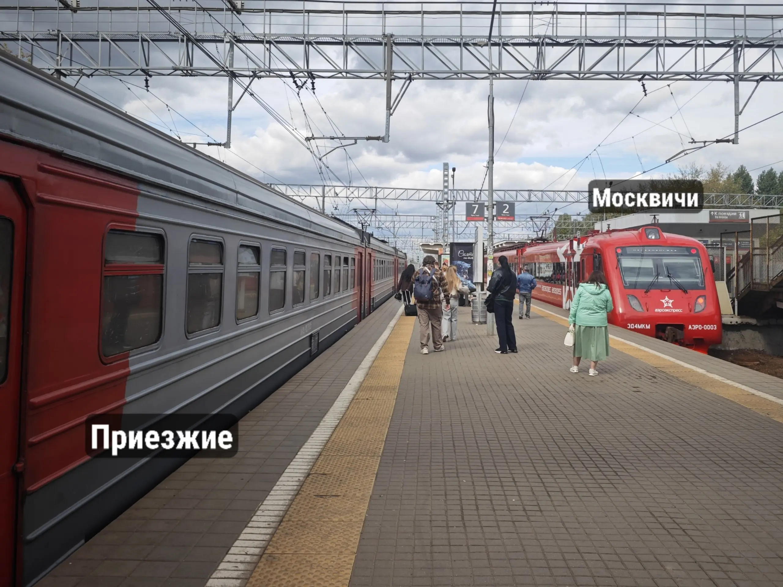 Сделала мем | Сетка — социальная сеть от hh.ru