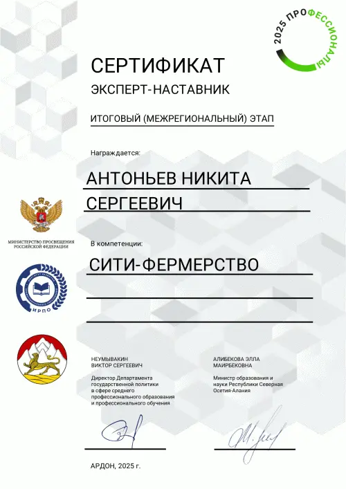 Network member avatar