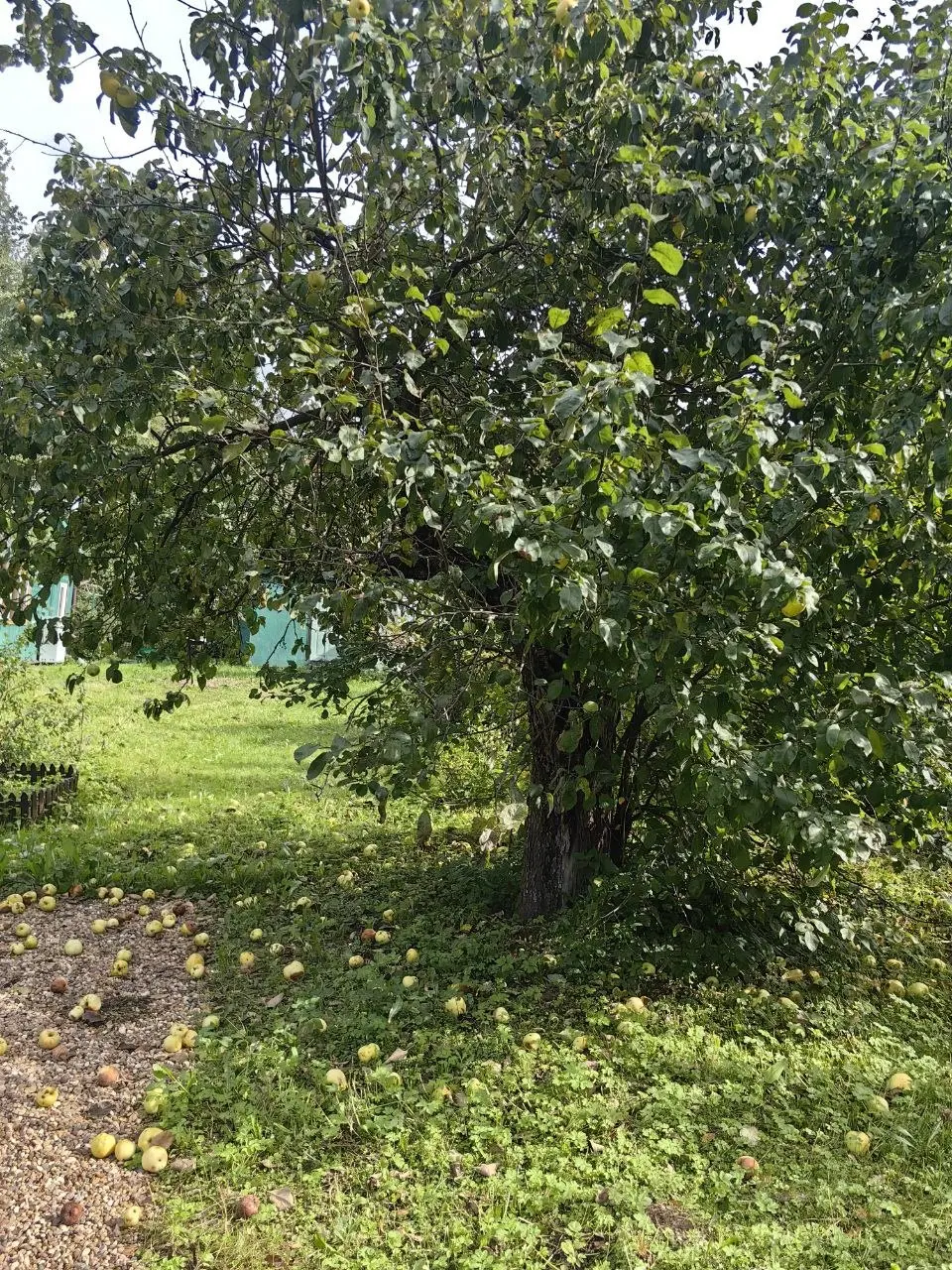 Осень 🍂 | Сетка — социальная сеть от hh.ru