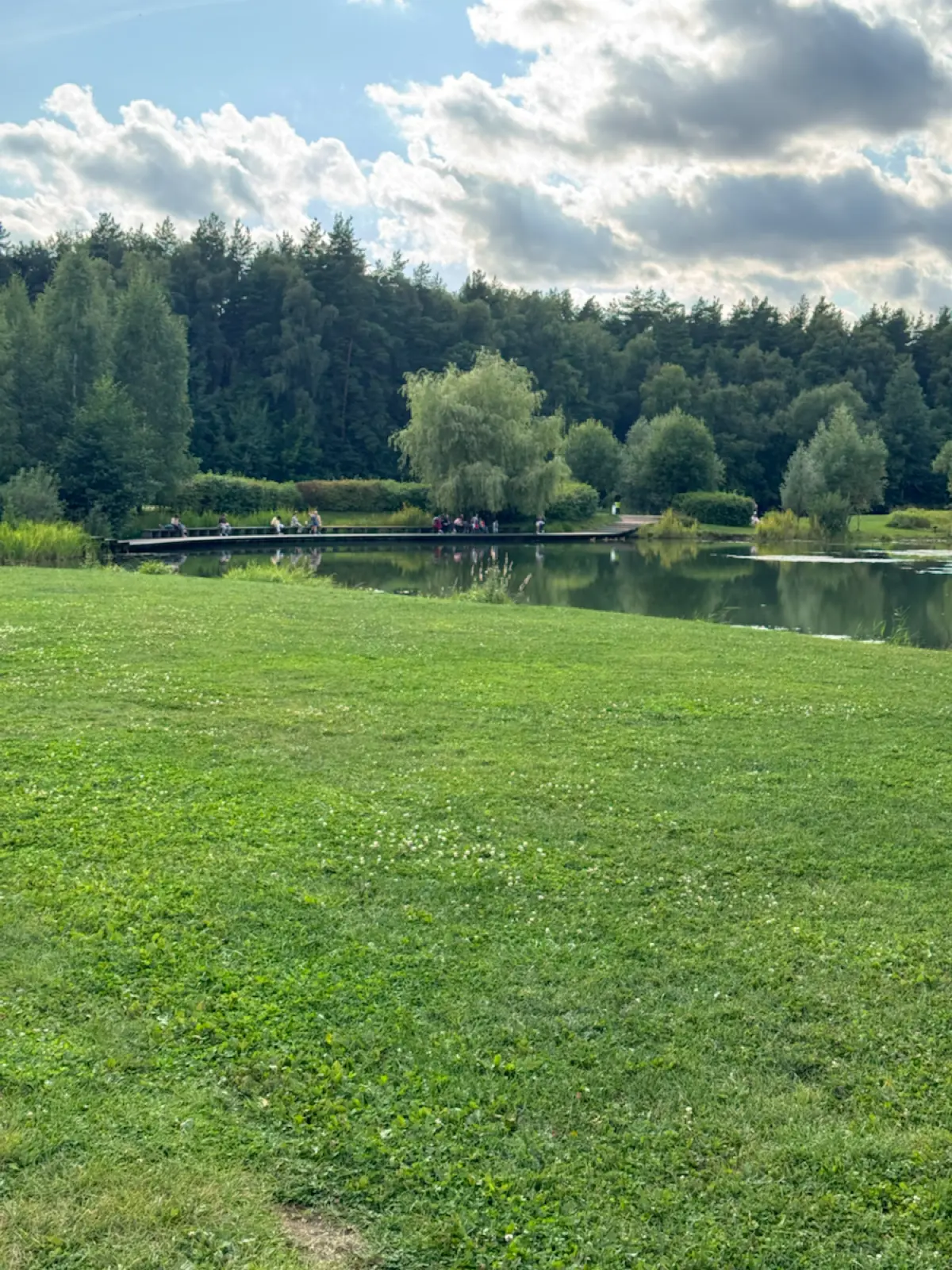 📍 Мещерский парк: комфортный отдых на природе | Сетка — социальная сеть от hh.ru