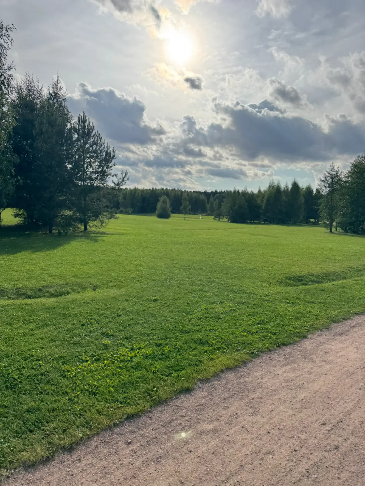 📍 Мещерский парк: комфортный отдых на природе | Сетка — социальная сеть от hh.ru