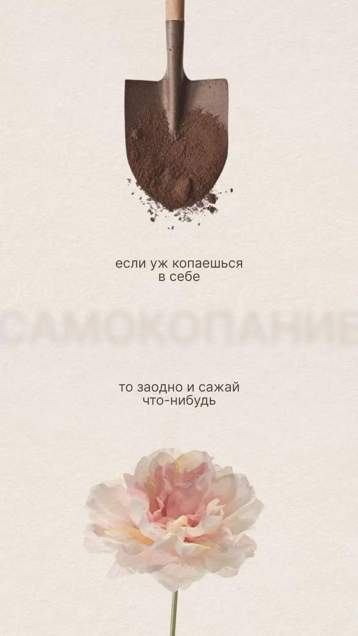 #инсайтынедели
Поделитесь, что откликнулось🤗
🔥 Прошлое – это только урок, который нужно принять к сведению.
🔥 Истинное руководство не претенциозно | Сетка — социальная сеть от hh.ru
