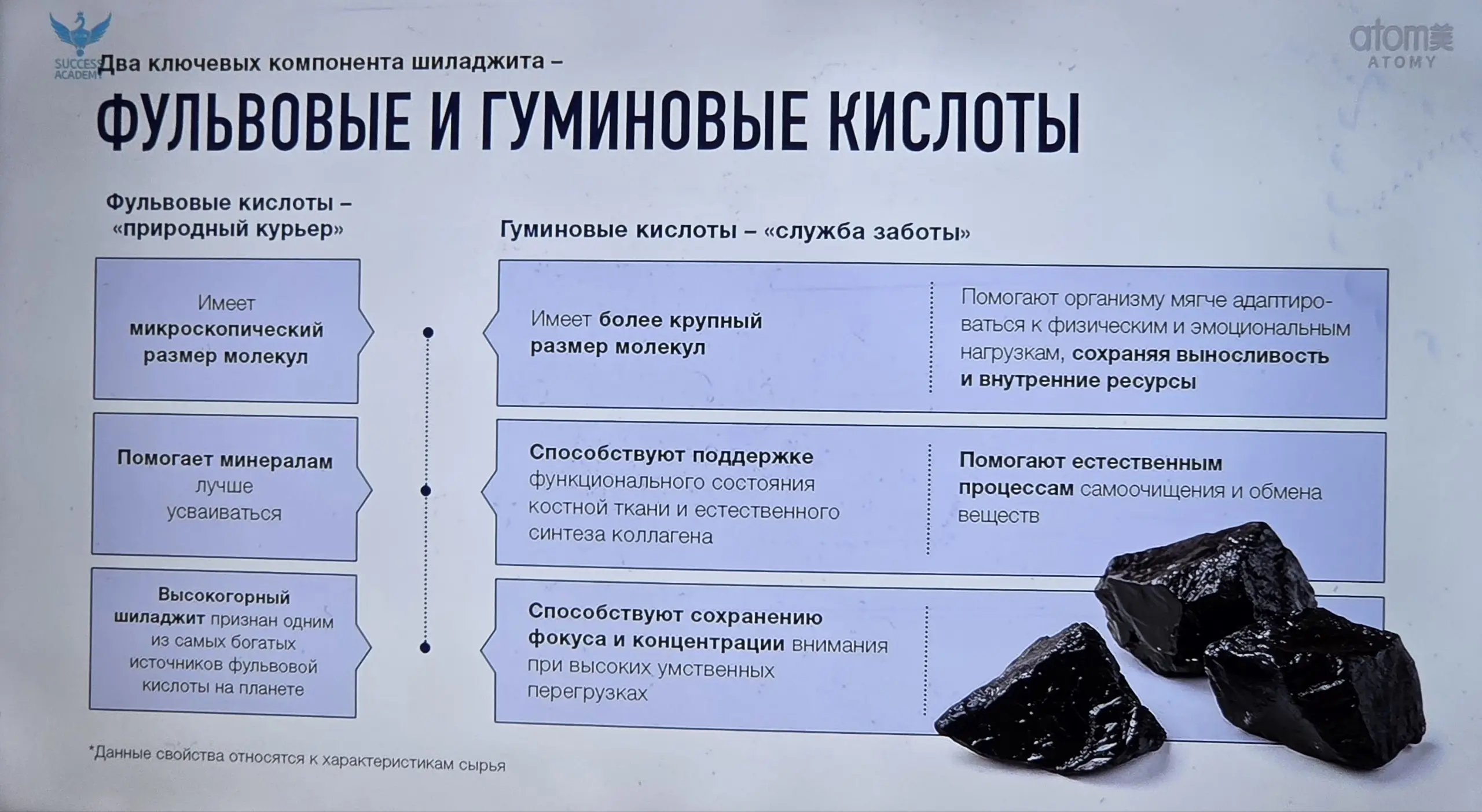 🌟🌟🌟🌟🌟🌟🌟 на сайте Атоми.Рус🔥🔥🔥 | Сетка — социальная сеть от hh.ru