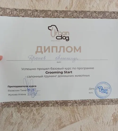 Александр Дронов