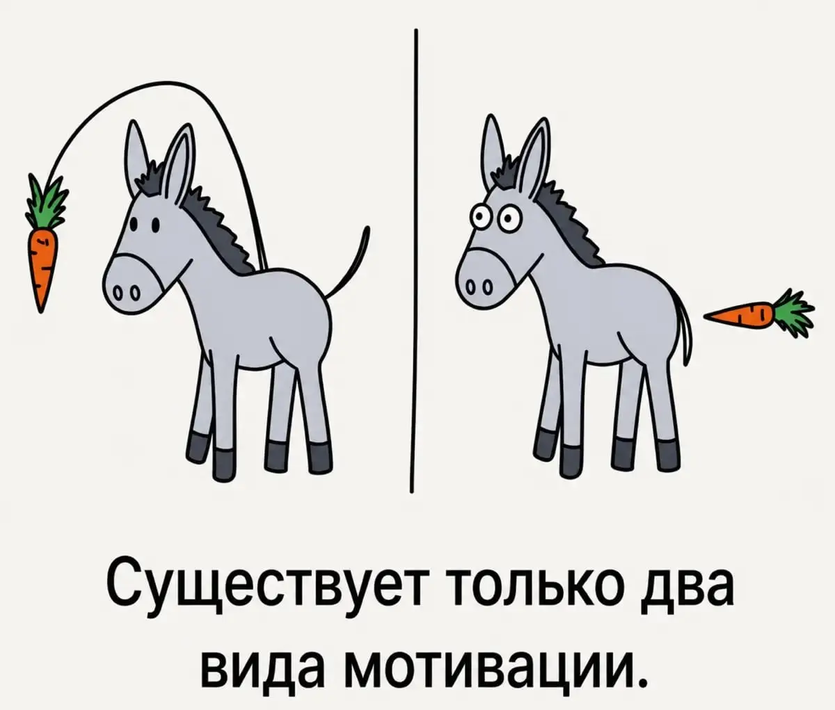 #работа #IT #юмор | Сетка — социальная сеть от hh.ru