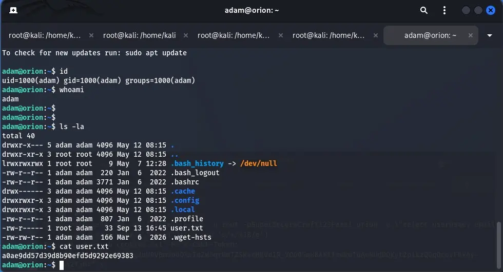 Уязвимая машина Orion от HTB(Ручное выполнение RCE.) | Сетка — социальная сеть от hh.ru