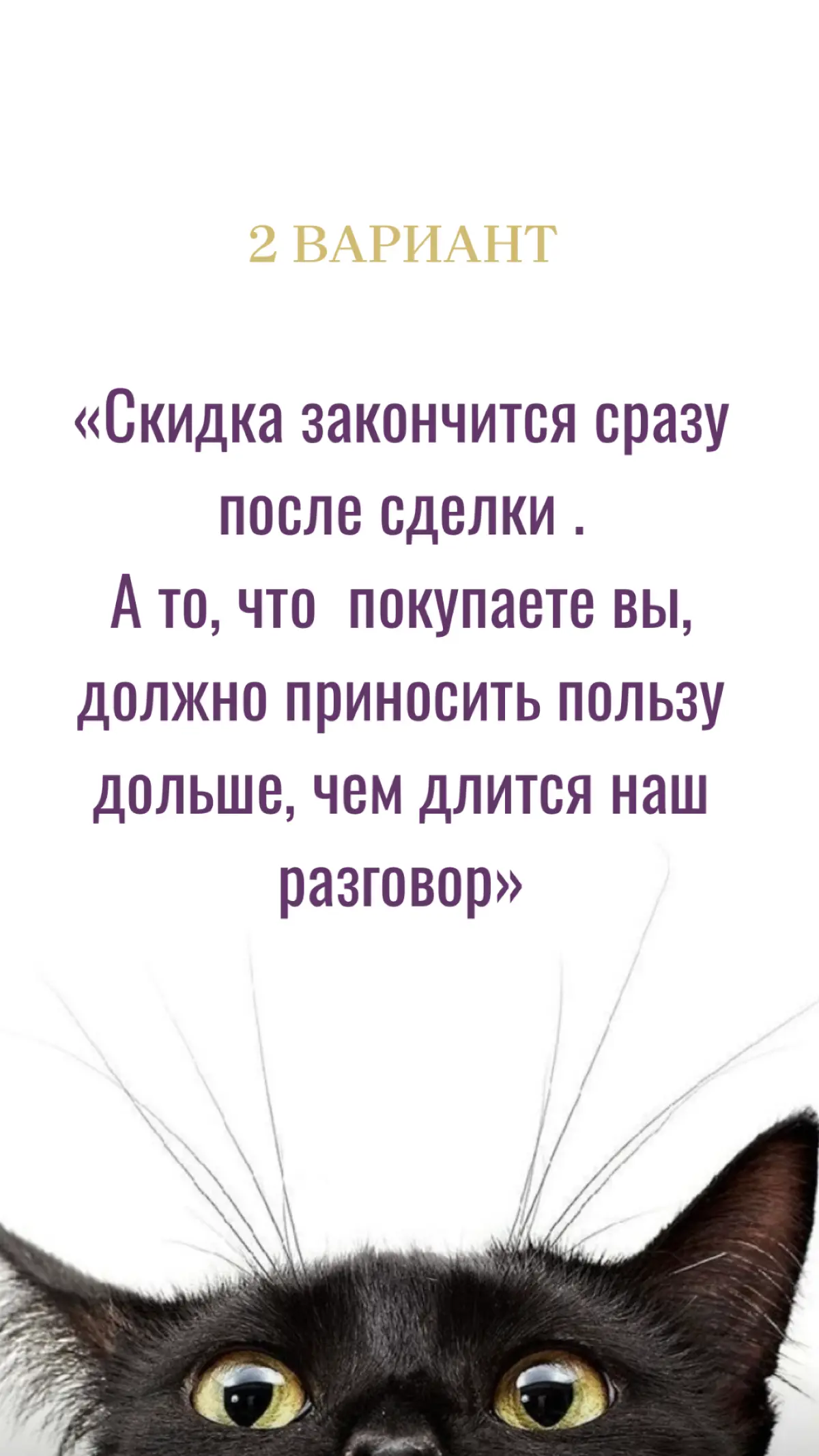 3 фразы вместо скидки | Сетка — социальная сеть от hh.ru