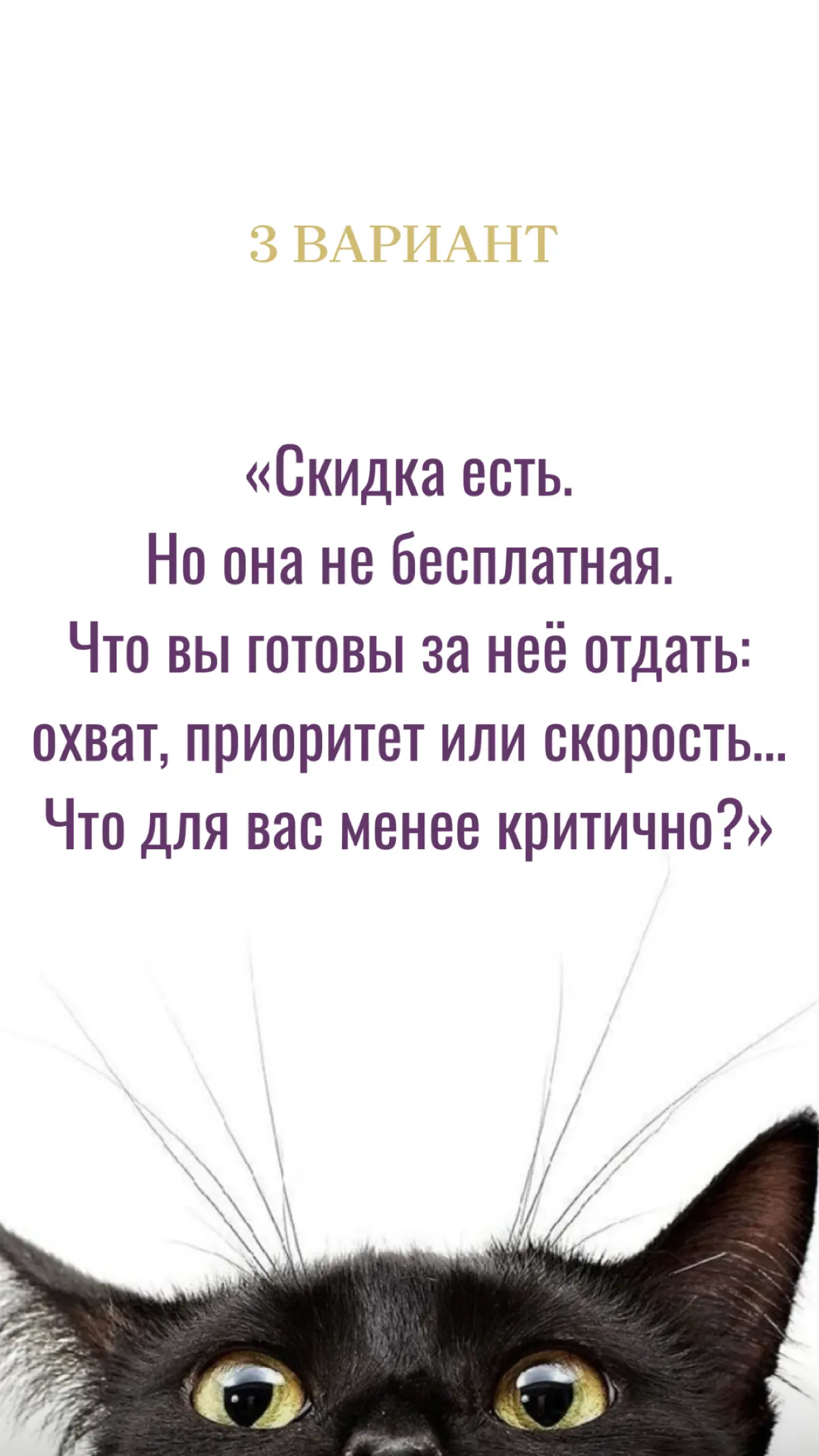 3 фразы вместо скидки | Сетка — социальная сеть от hh.ru