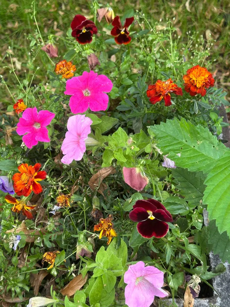 Утро. Живём.
Иногда не обязательно знать, куда вы идёте.
Достаточно знать, что вы идёте.
🌱 | Сетка — социальная сеть от hh.ru