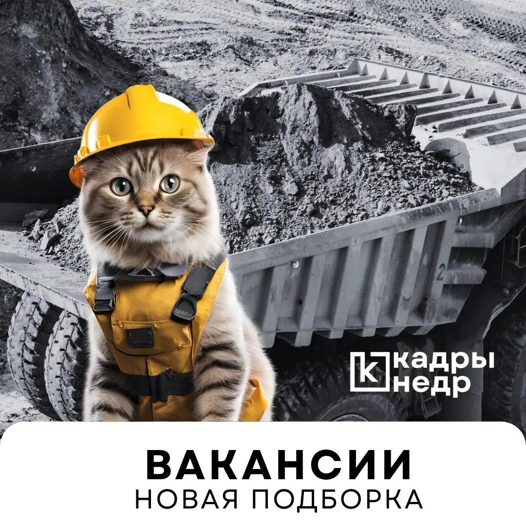 Директор по горным работам
Компания: Росхим | Дальнегорский ГОК
Локация: Дальнегорск
Руководитель направления по геологии рудных полезных ископаемых
Компания: Лукойл
Локация: Москва
Главный менеджер п... | Сетка — социальная сеть от hh.ru