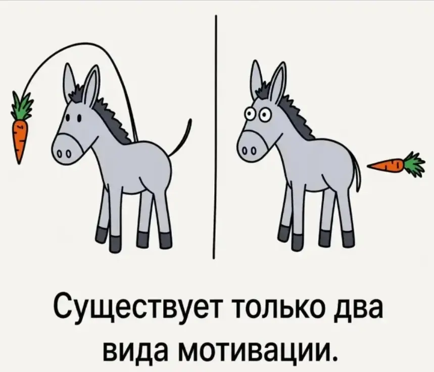 Выложил сейчас пост на тему KPI.
И знаете, что это напомнило? Про то, что на самом деле количество вариантов мотивирования крайне и крайне ограничено. :) | Сетка — социальная сеть от hh.ru
