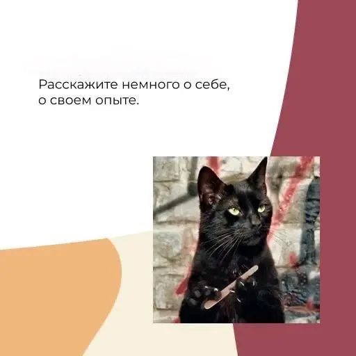 У каждо есть свои любимые вопросы для собеседований.
У кого-то это вопрос — как приглашение к беседе, у кого-то просьбы привести кейсы из опыта.
Я собрала подборку частых вопросов от HR | Сетка — социальная сеть от hh.ru