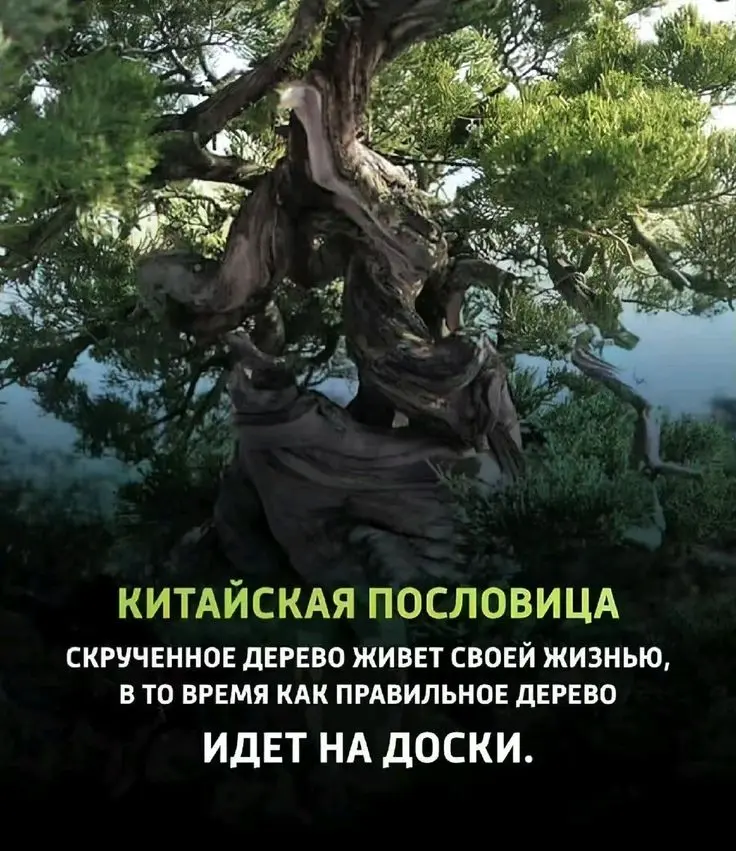 Настроение - нести в народ притчи | Сетка — социальная сеть от hh.ru