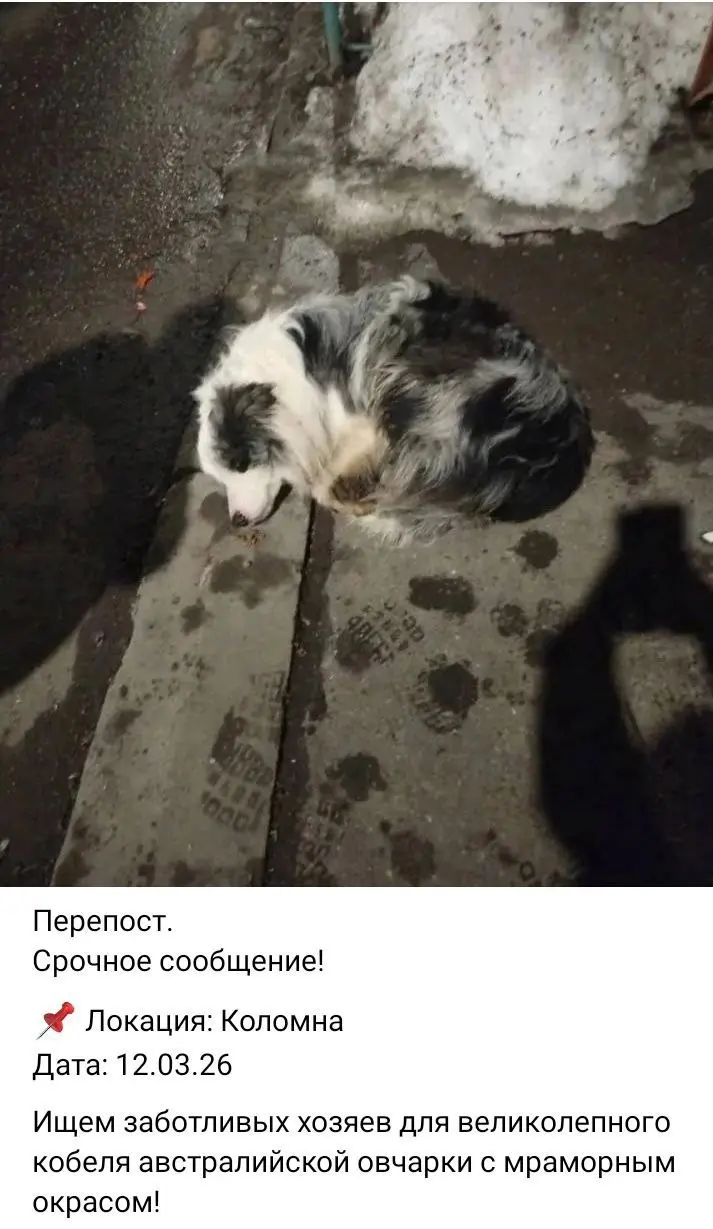 Увидел репост в ВК, ну блин ну чистый развод.
Откуда я знаю? У меня тоже Аусси | Сетка — социальная сеть от hh.ru